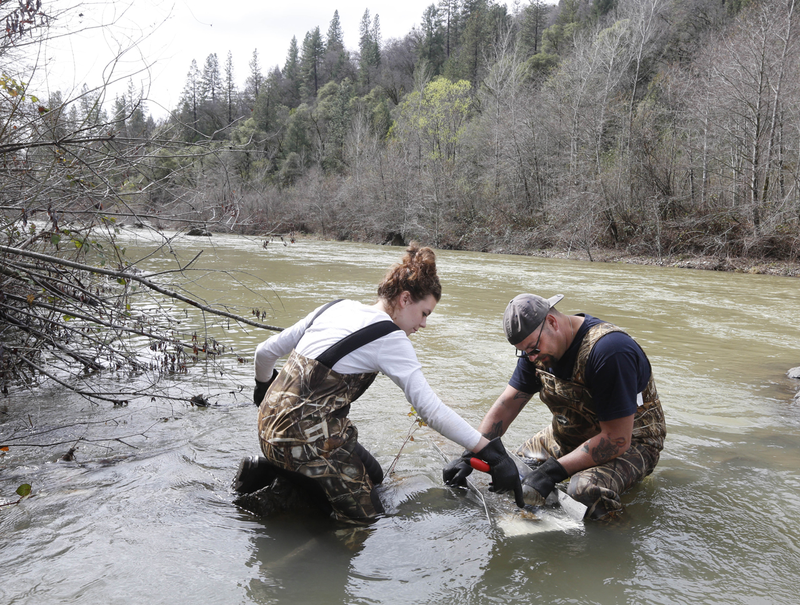 Illustration for article titled Why California's Drought Is Good News for Gold Prospectors